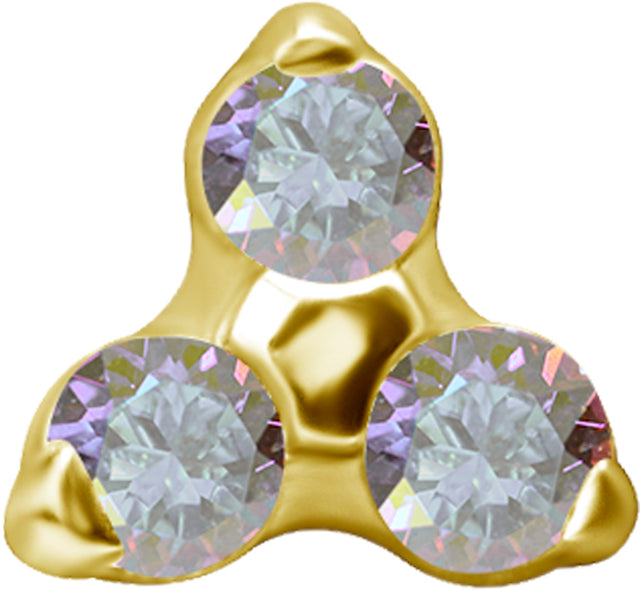 GD TT int TRINITY ATTACHMENT