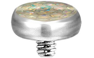 TT int FLAT DISC GLOSS FINISH