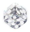 DICES