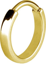 GD 316 PLAIN HINGED HOOPS