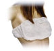 White bra - Single pack - Polybag 100pcs