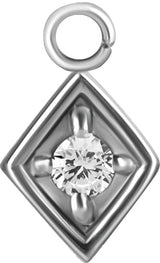 SS 316 CHARMS FOR SEGMENT RINGS - mod. 16