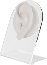 WHITE ANATOMIC DISPLAY EAR-L