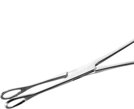 OVAL FORCEPS